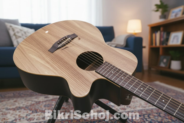 Tanglewood Blackbird Electro Acoustic Guitar